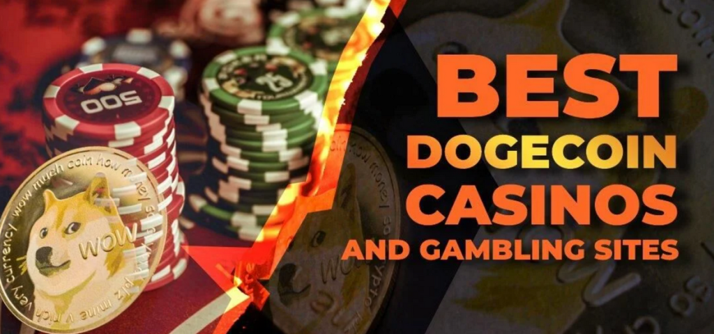 Online Doge Gambling